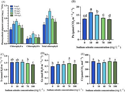 Foliar application of sodium selenite affects the growth, antioxidant system, and fruit quality of strawberry